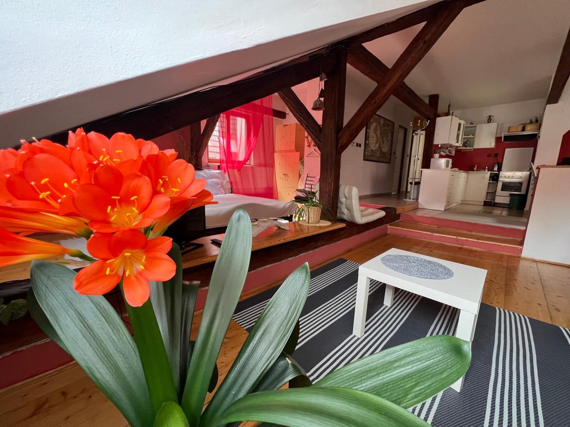 Apartman Galant Cesky Krumlov Exterior foto